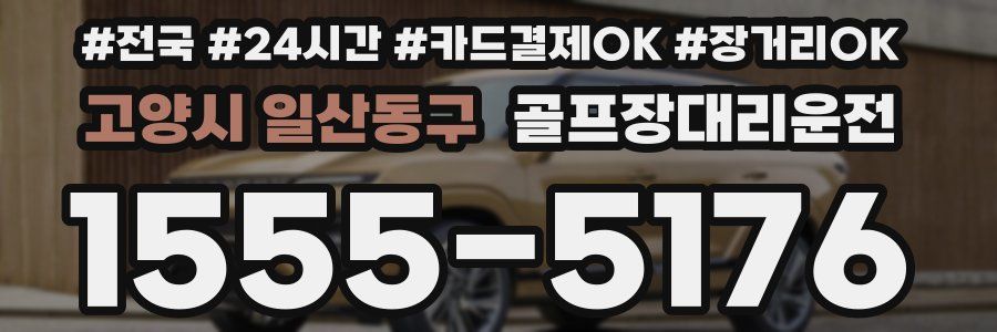 고양시 일산동구 골프장대리운전