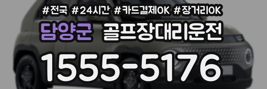 담양군 골프장대리운전