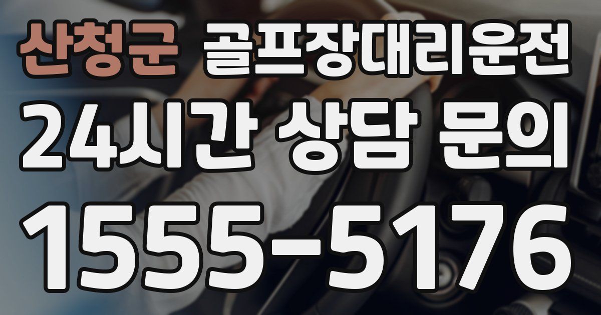 골프장대리운전 서비스