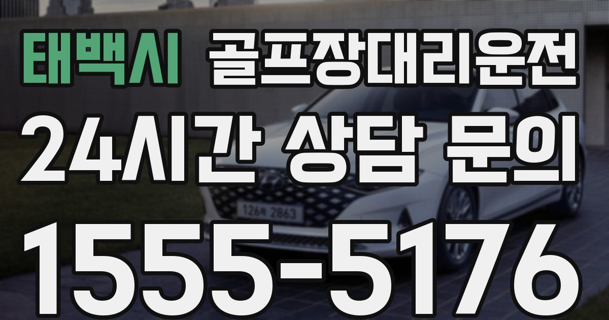 골프장대리운전 서비스