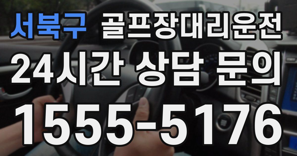 골프장대리운전 서비스