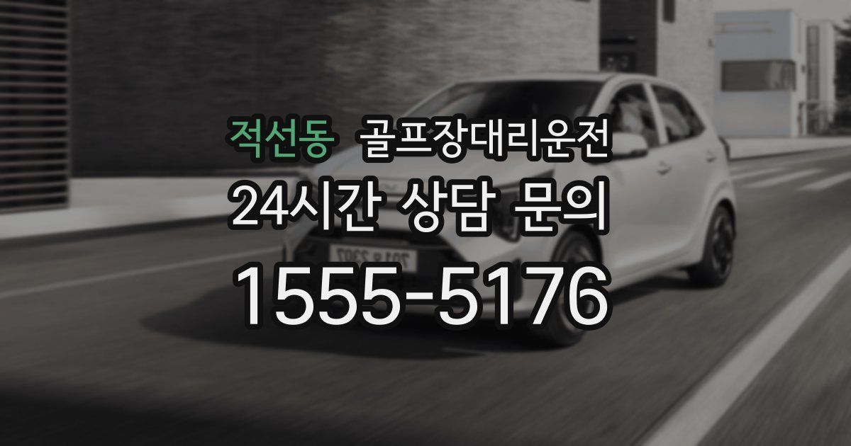 골프장대리운전 서비스