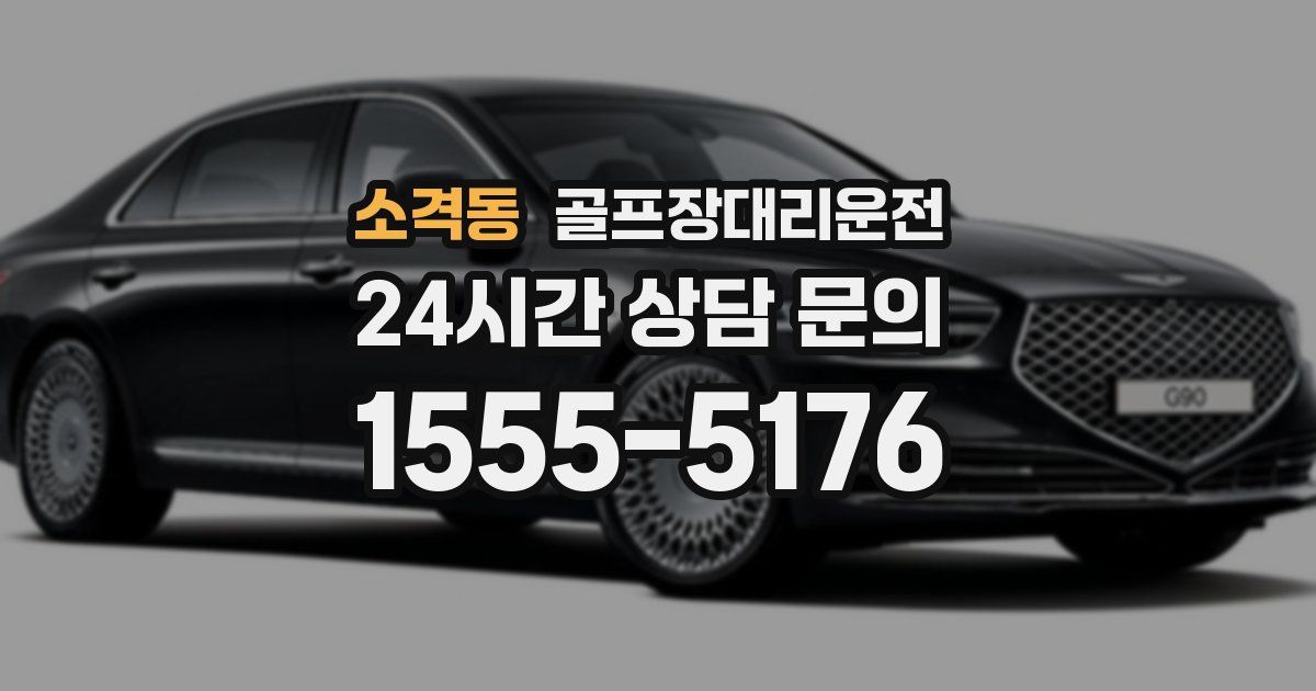 골프장대리운전 서비스