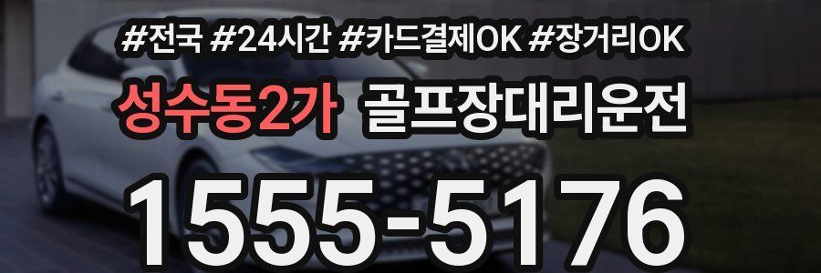 성수동2가 골프장대리운전