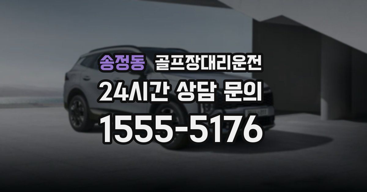 골프장대리운전 서비스