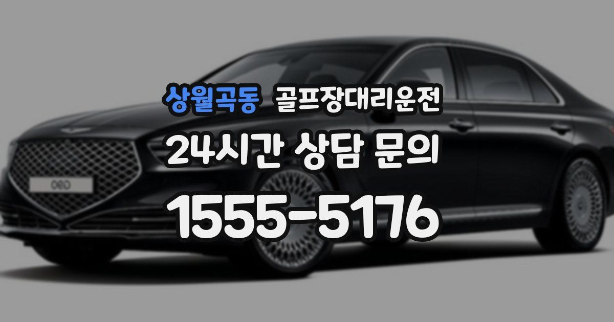 골프장대리운전 서비스