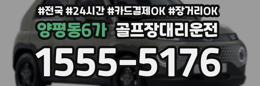 양평동6가 골프장대리운전