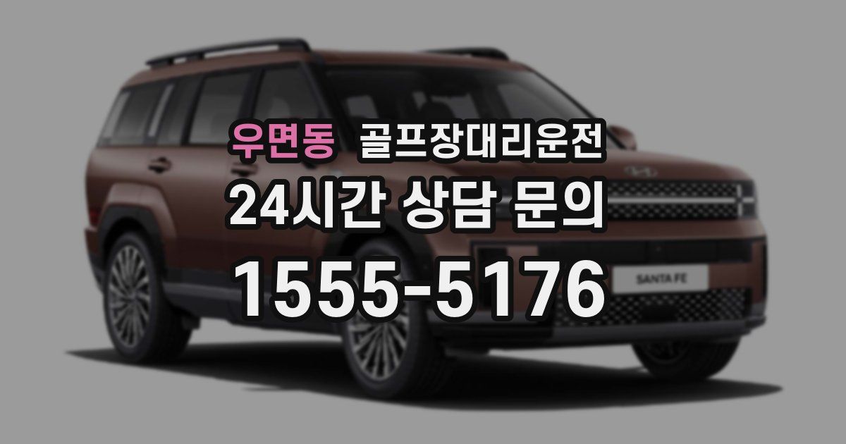 골프장대리운전 서비스