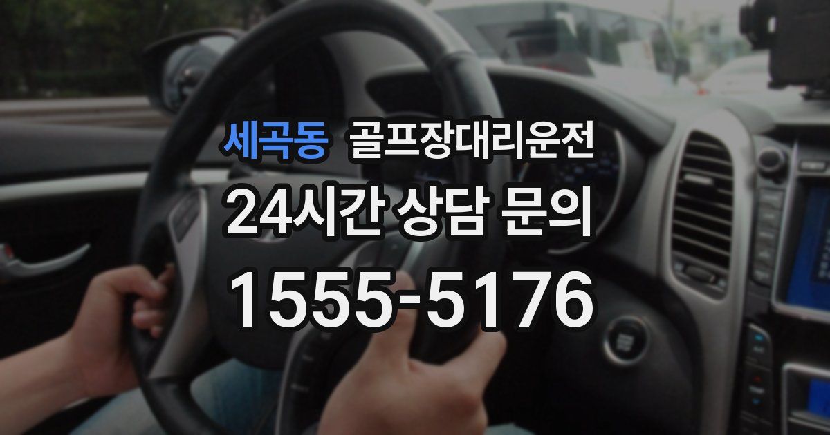 골프장대리운전 서비스