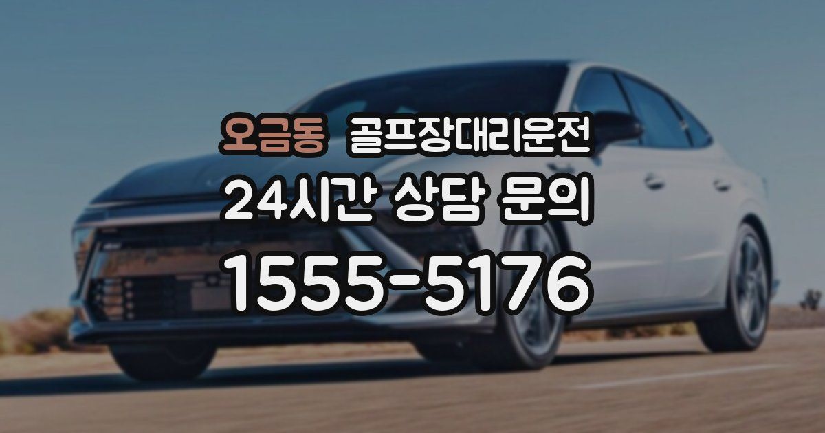골프장대리운전 서비스