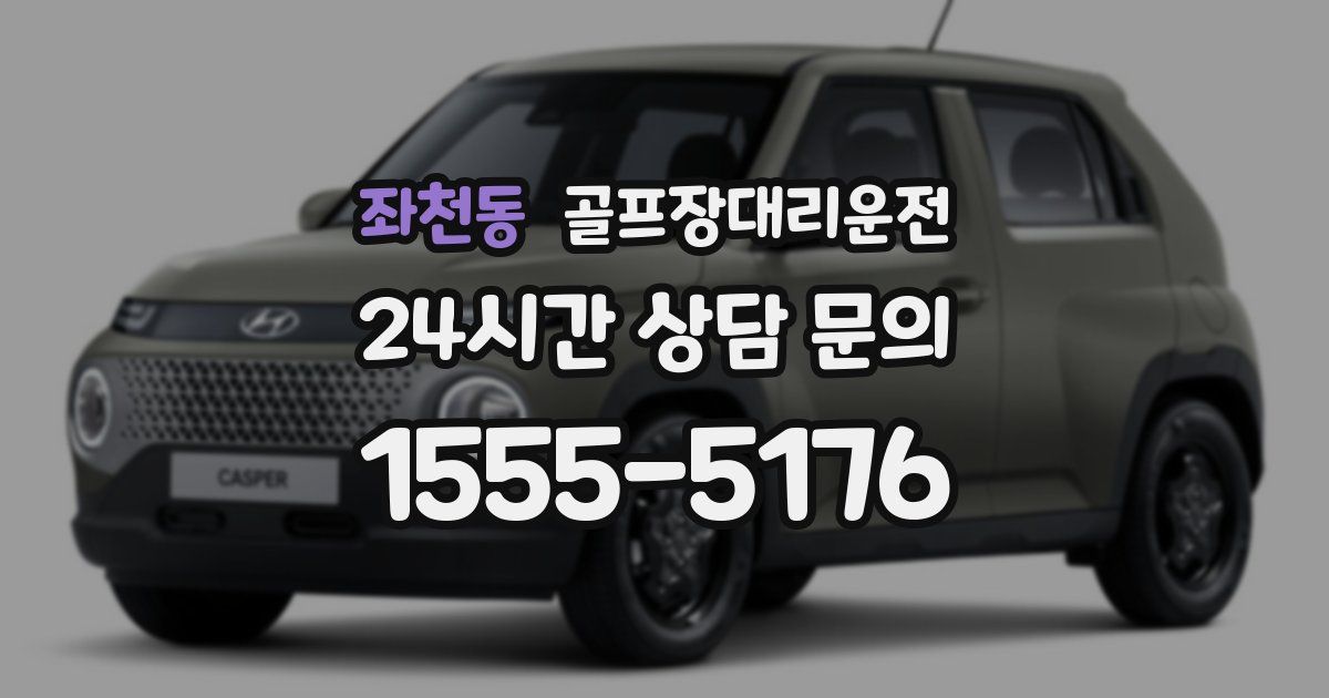 골프장대리운전 서비스