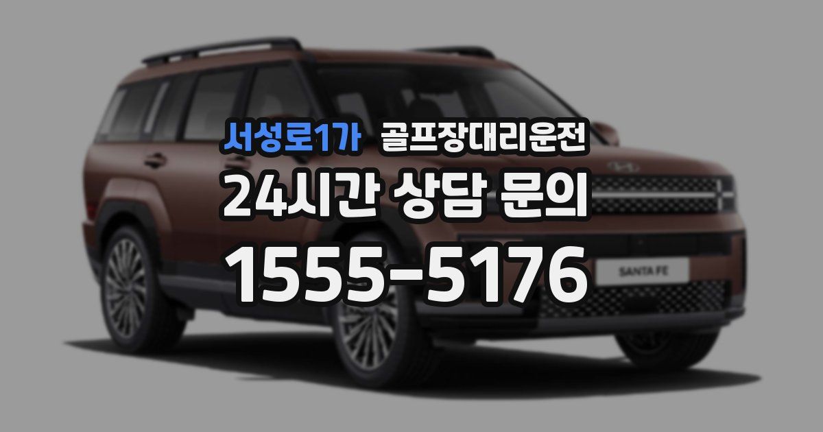 골프장대리운전 서비스