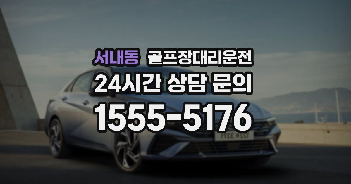 골프장대리운전 서비스