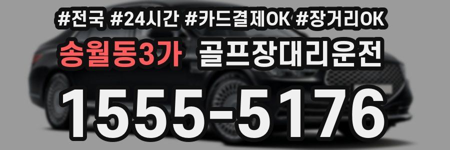 송월동3가 골프장대리운전