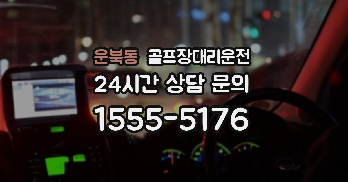 골프장대리운전 서비스