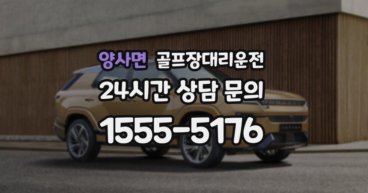 골프장대리운전 서비스