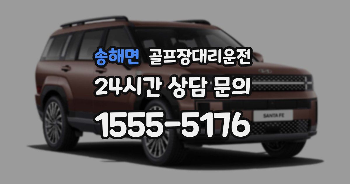 골프장대리운전 서비스