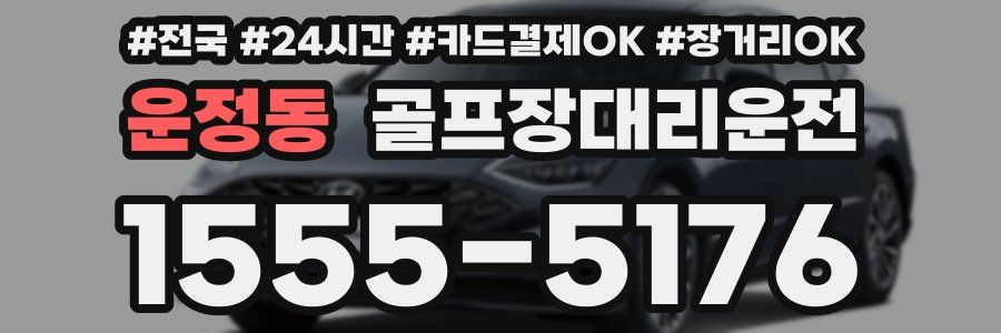 운정동 골프장대리운전