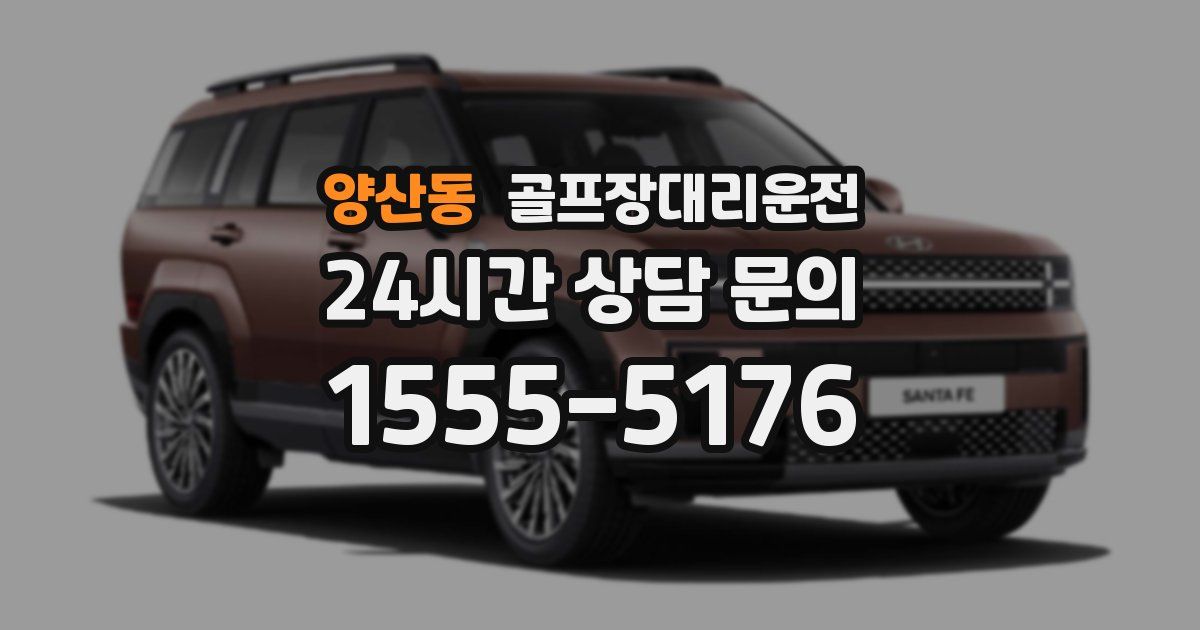 골프장대리운전 서비스