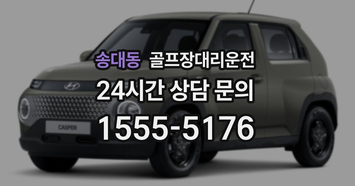 골프장대리운전 서비스