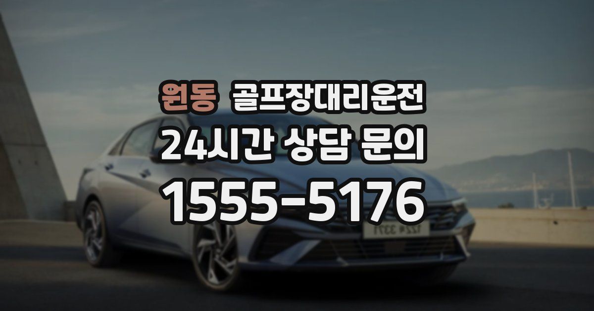 골프장대리운전 서비스