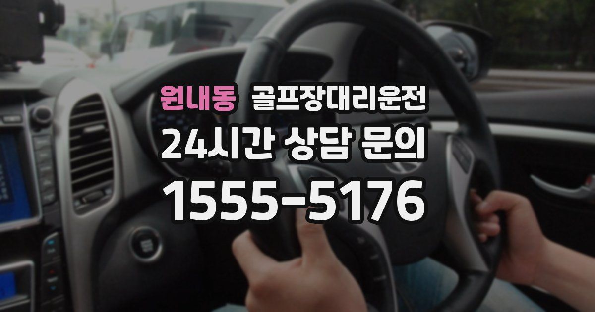 골프장대리운전 서비스
