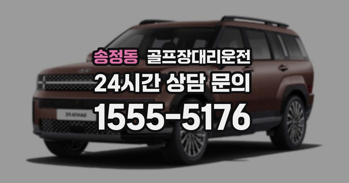 골프장대리운전 서비스