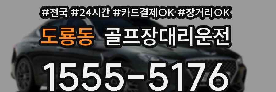 도룡동 골프장대리운전