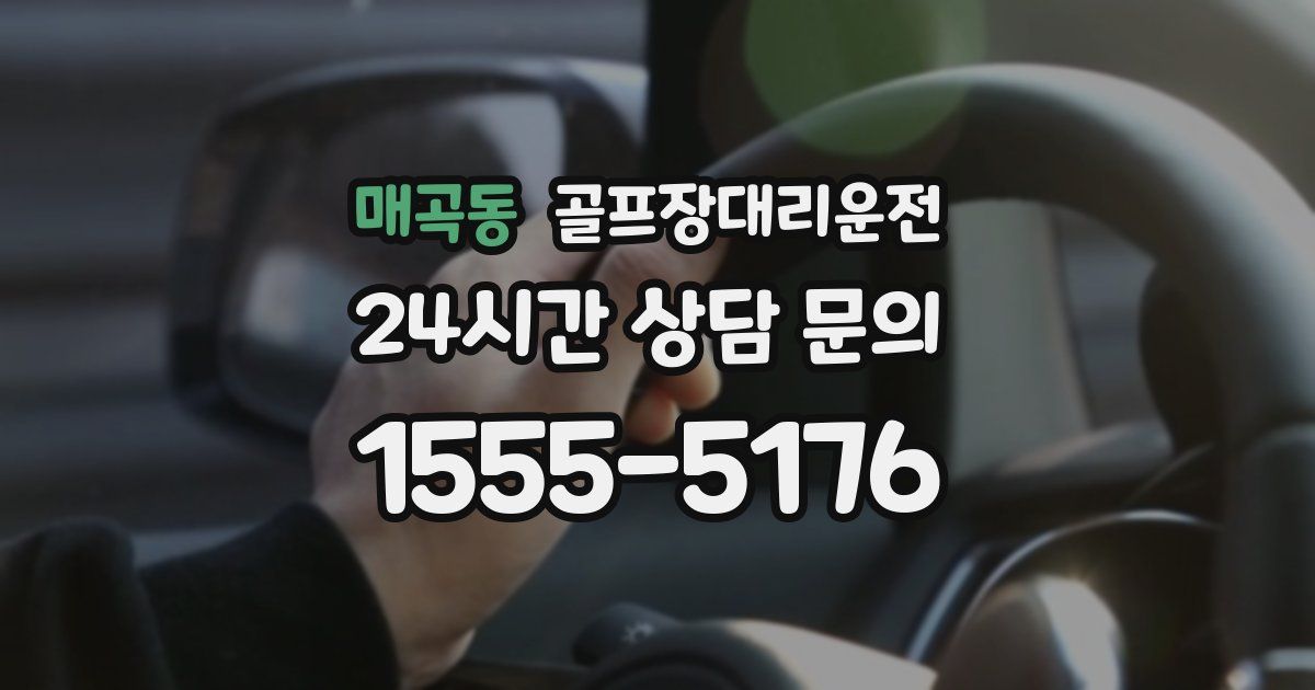 골프장대리운전 서비스