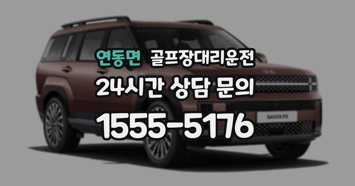 골프장대리운전 서비스