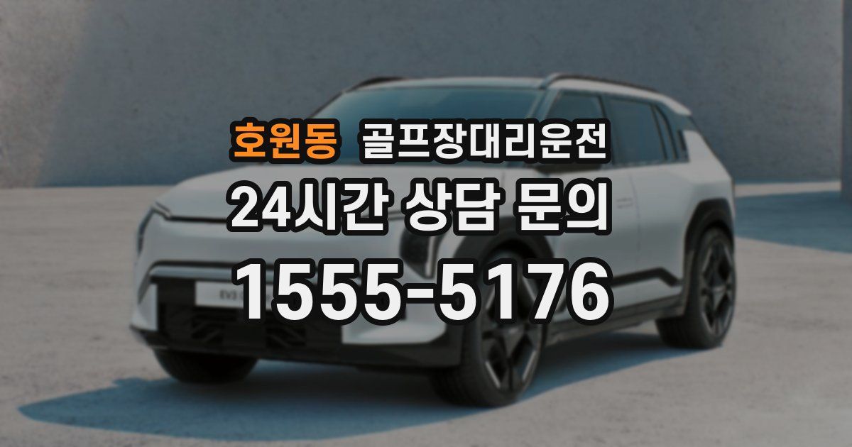 골프장대리운전 서비스