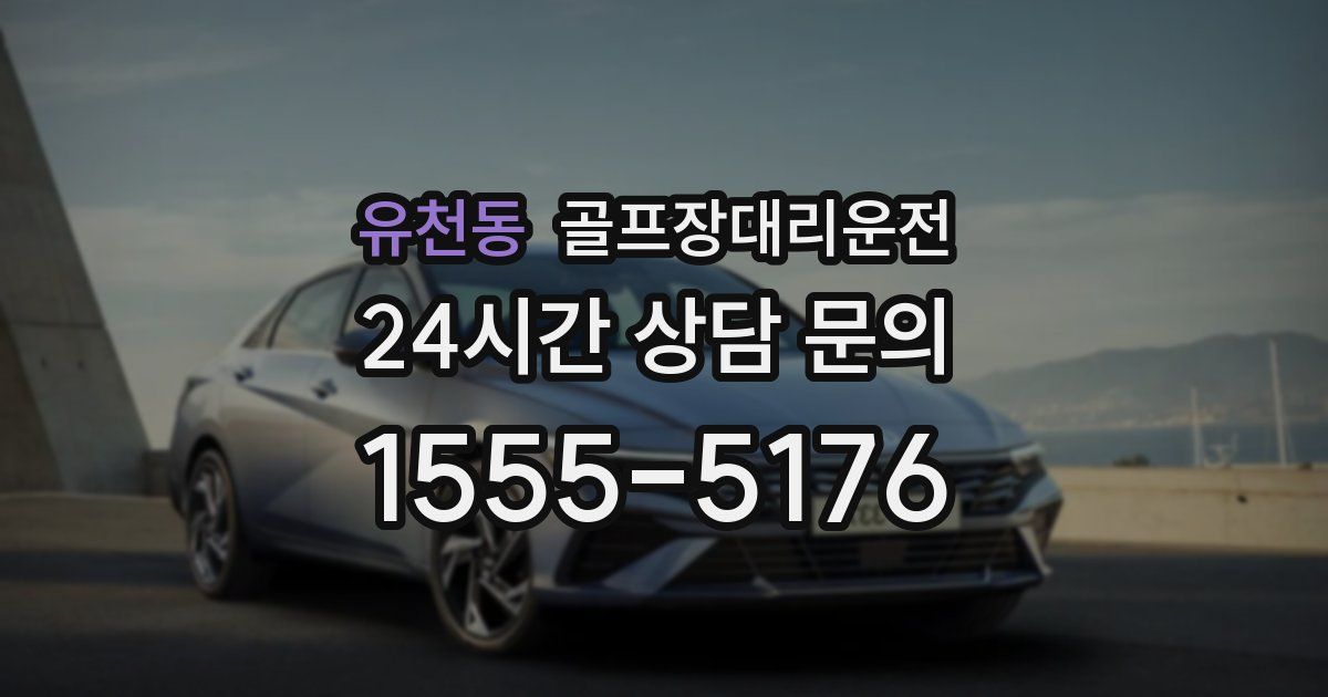 골프장대리운전 서비스