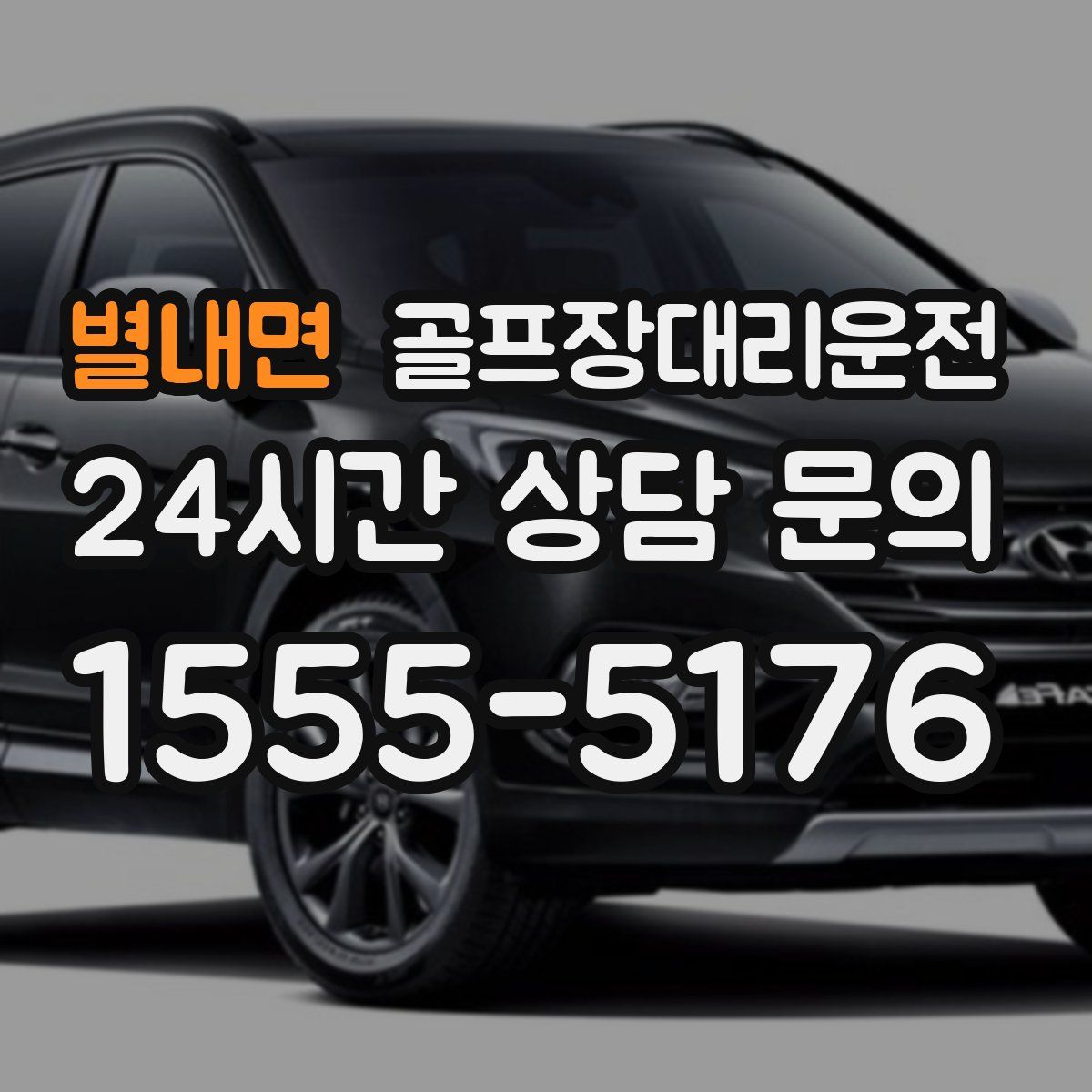 골프장대리운전