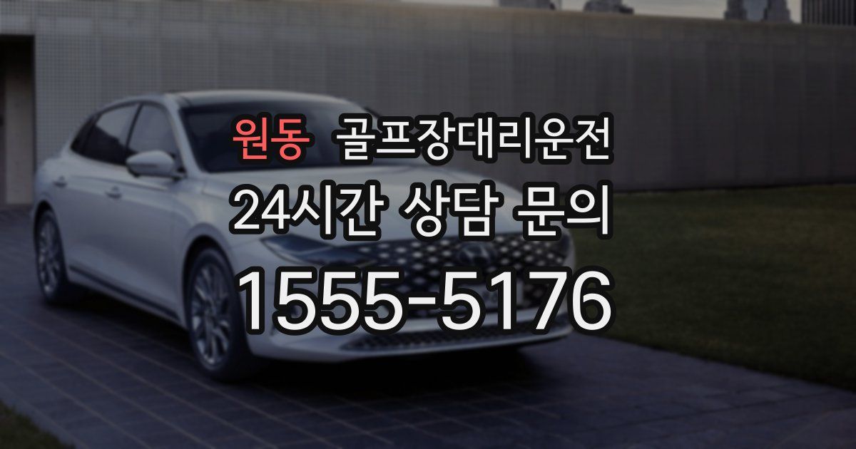 골프장대리운전 서비스