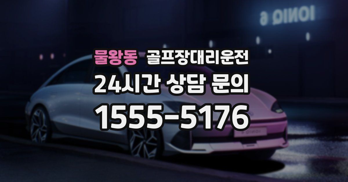 골프장대리운전 서비스