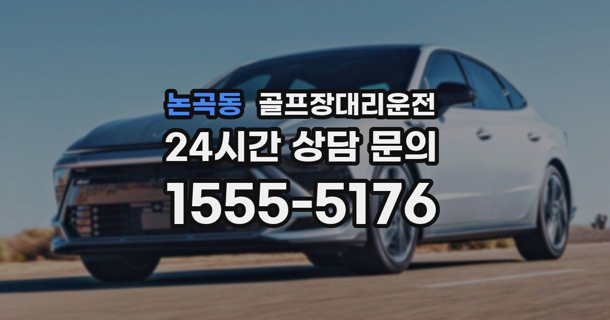 골프장대리운전 서비스