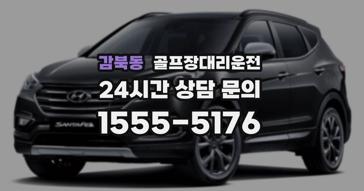 골프장대리운전 서비스