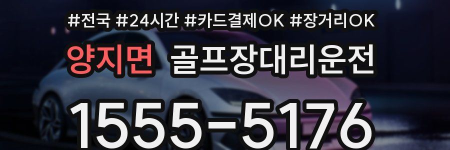 양지면 골프장대리운전