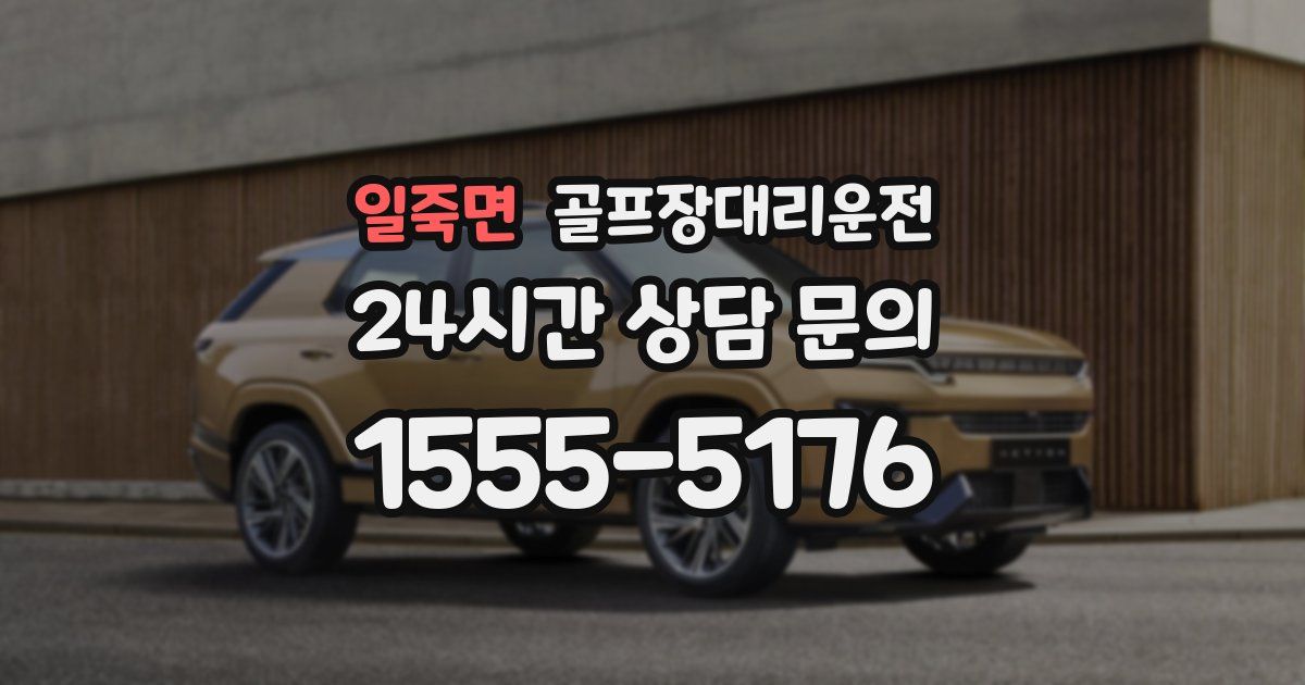 골프장대리운전 서비스