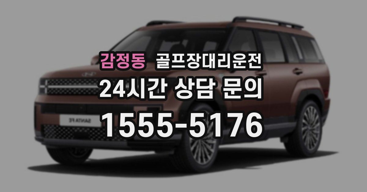 골프장대리운전 서비스