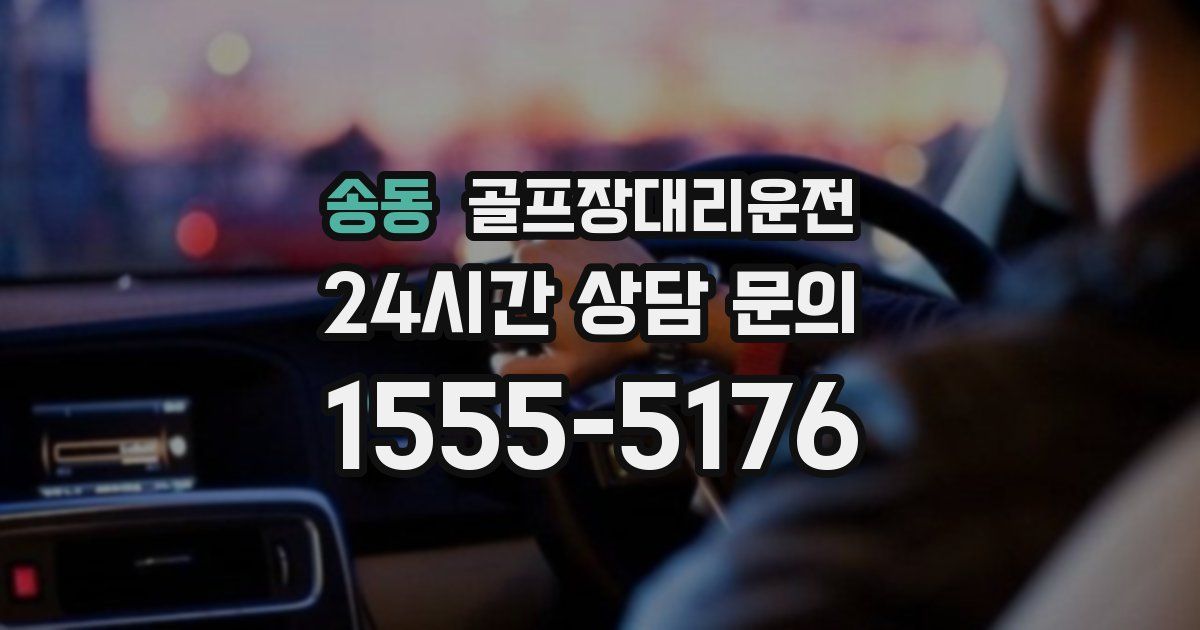골프장대리운전 서비스