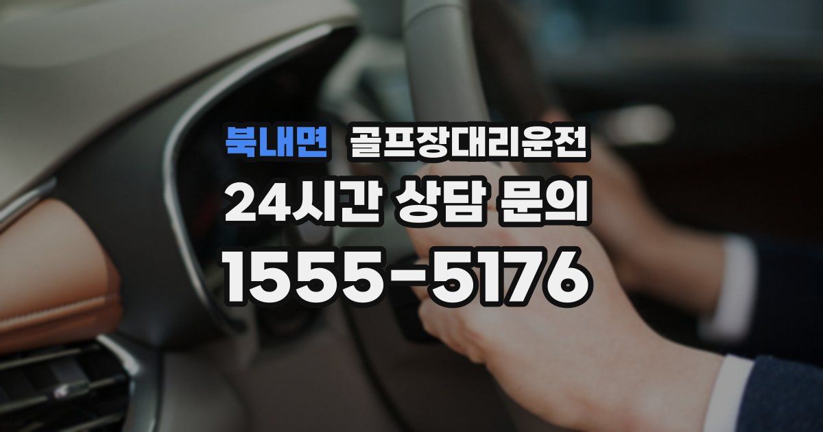 골프장대리운전 서비스