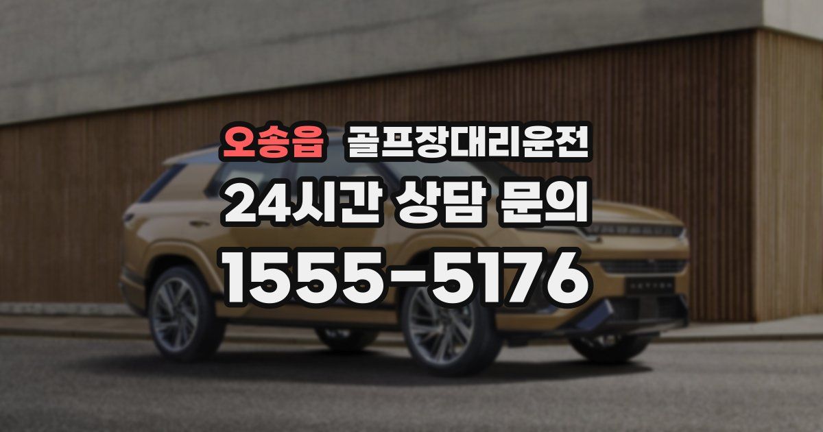 골프장대리운전 서비스