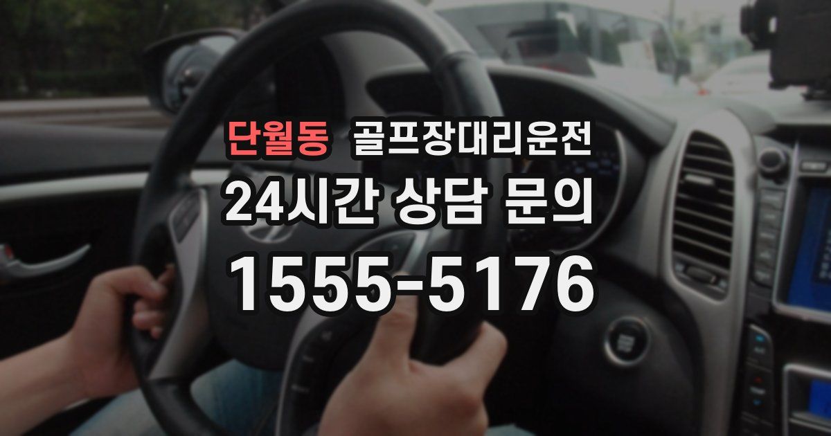 골프장대리운전 서비스