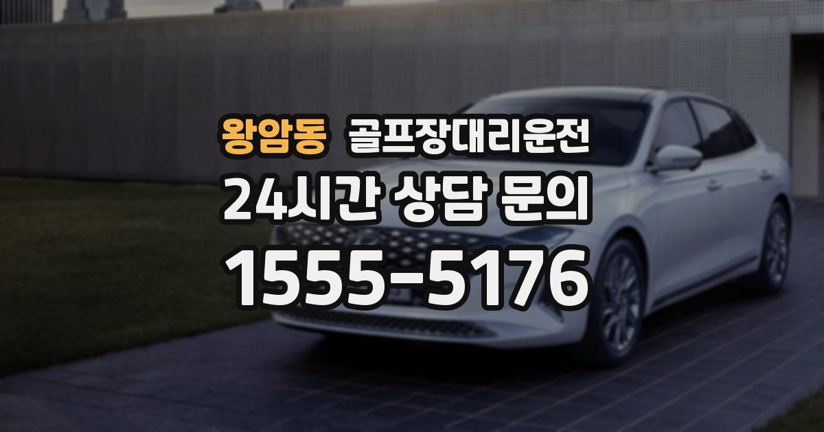 골프장대리운전 서비스