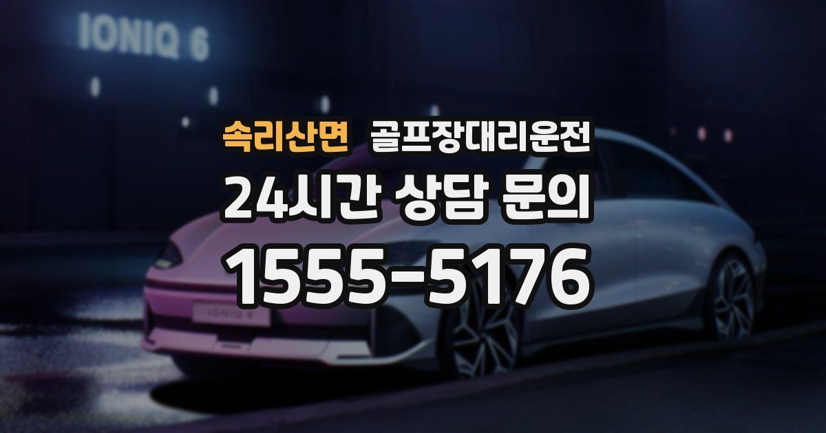 골프장대리운전 서비스