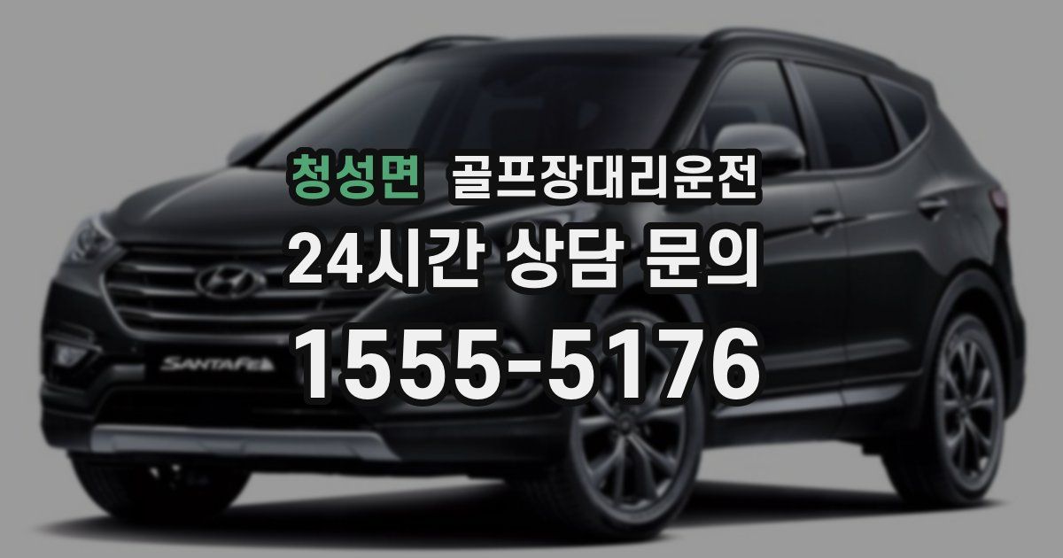 골프장대리운전 서비스