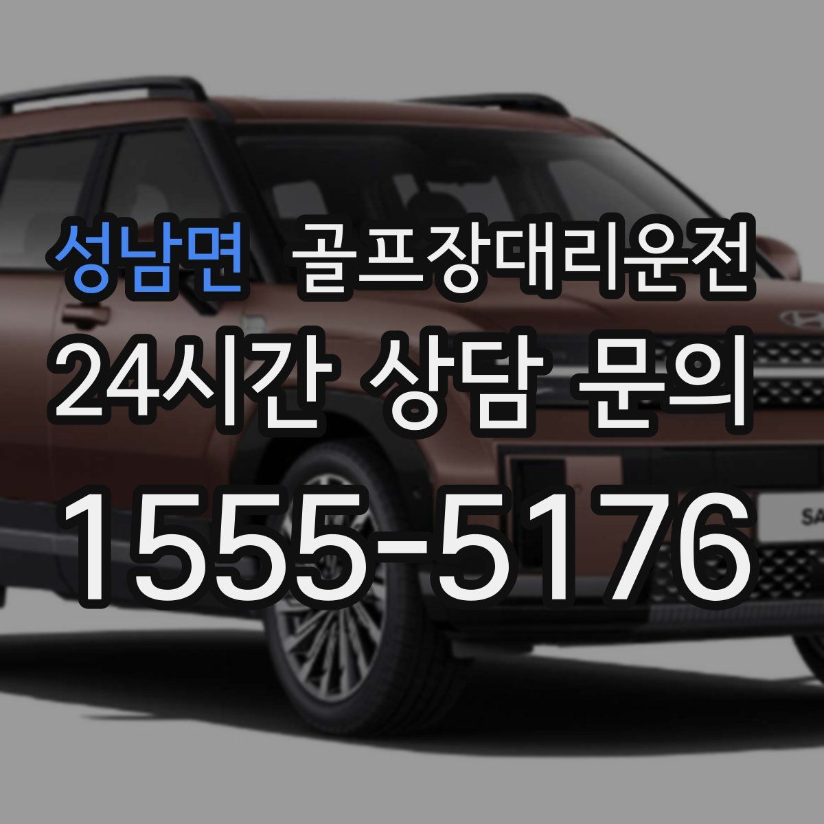 골프장대리운전
