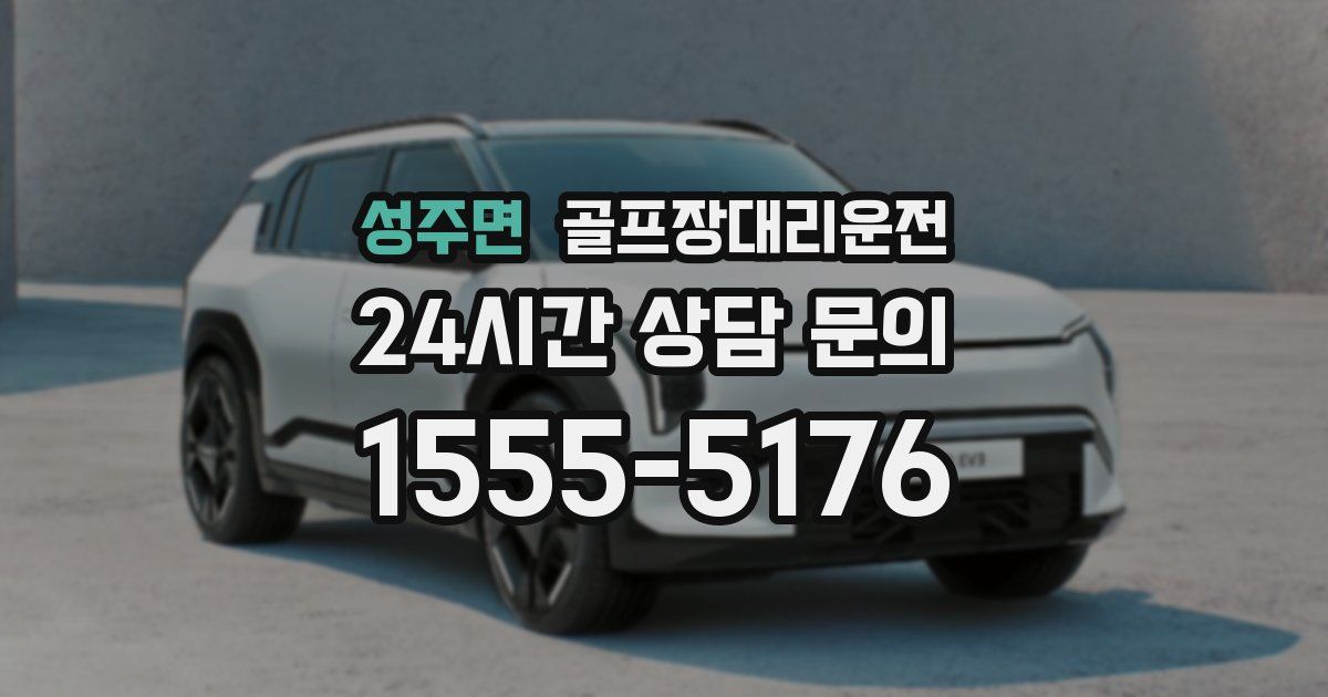 골프장대리운전 서비스