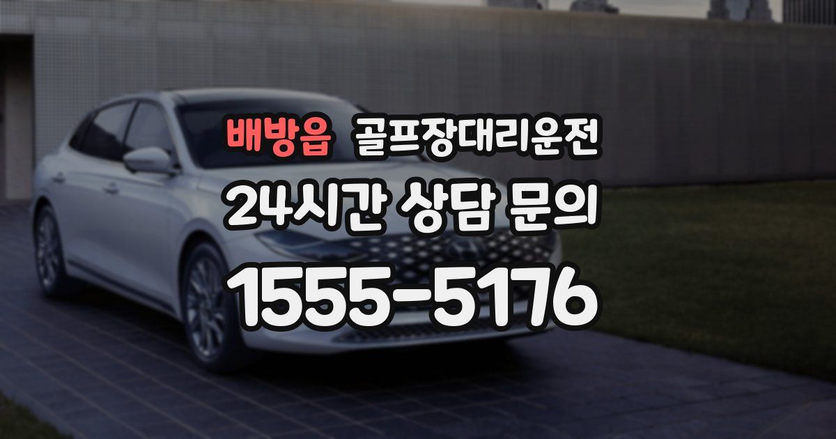 골프장대리운전 서비스